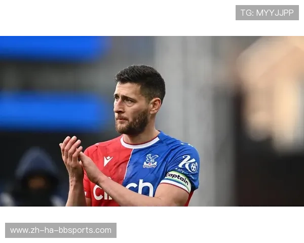 FM2015游戏中适合开档的英超小球队推荐 FM2015游戏中适合开档的英超小球队推荐