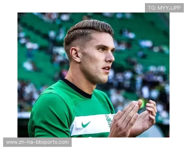 瑞典籍英超球员的体育风格及竞技表现